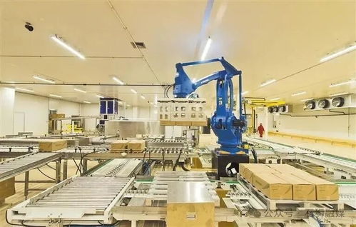 国内国际 石狮市融媒体中心